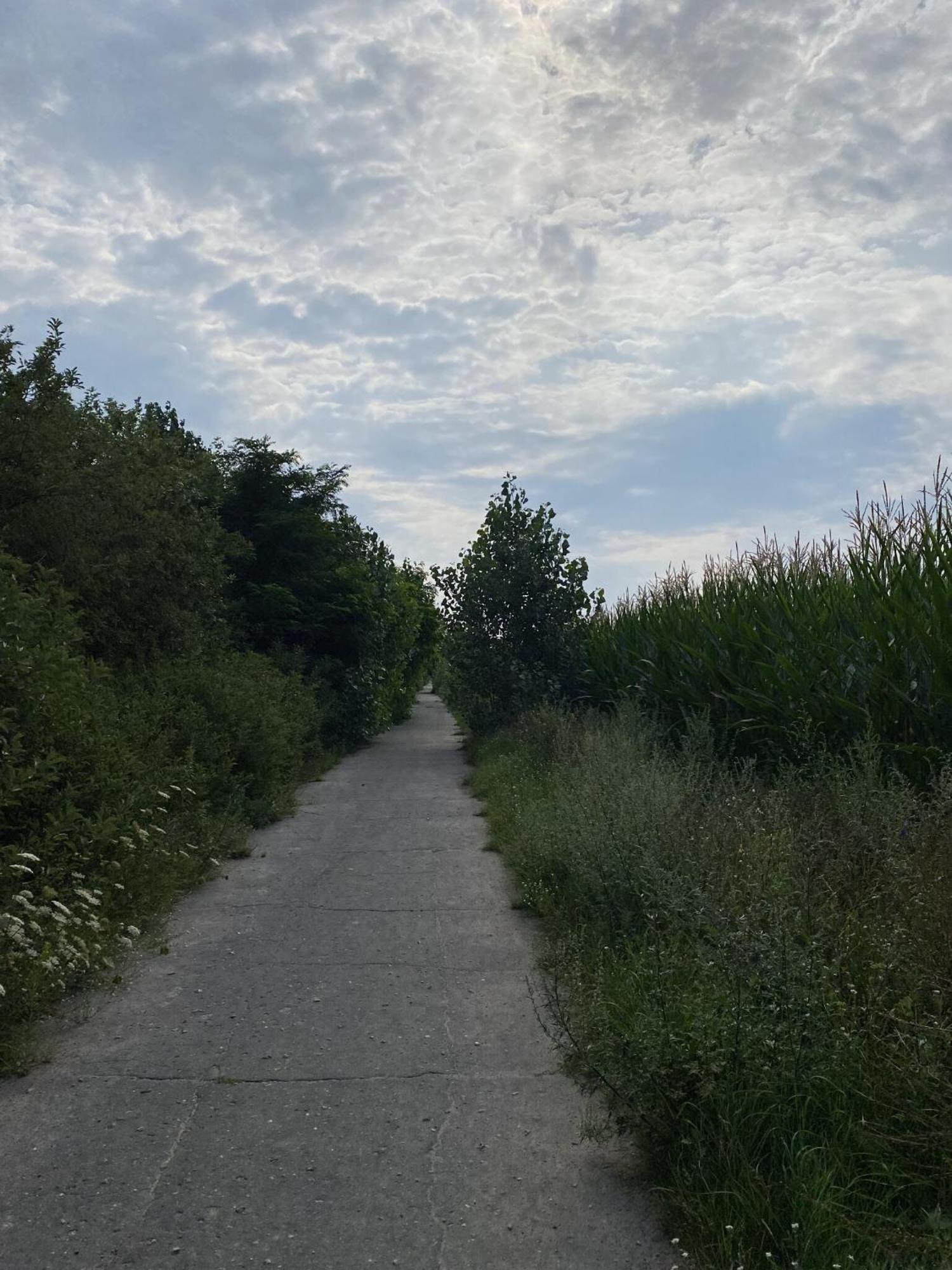 Ferien Am Berliner Mauerweg Vakantiehuis *