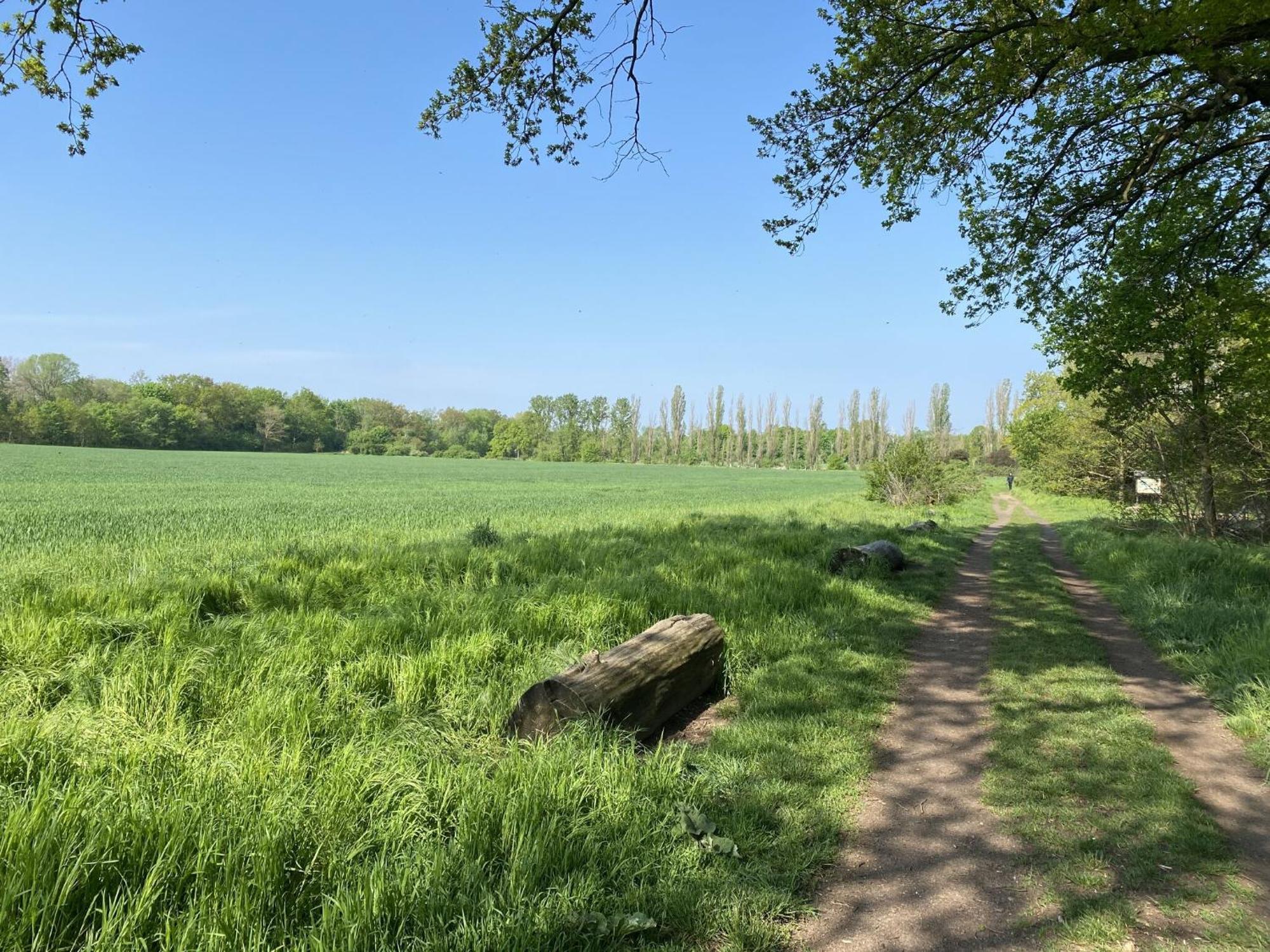 Ferien Am Berliner Mauerweg Vakantiehuis