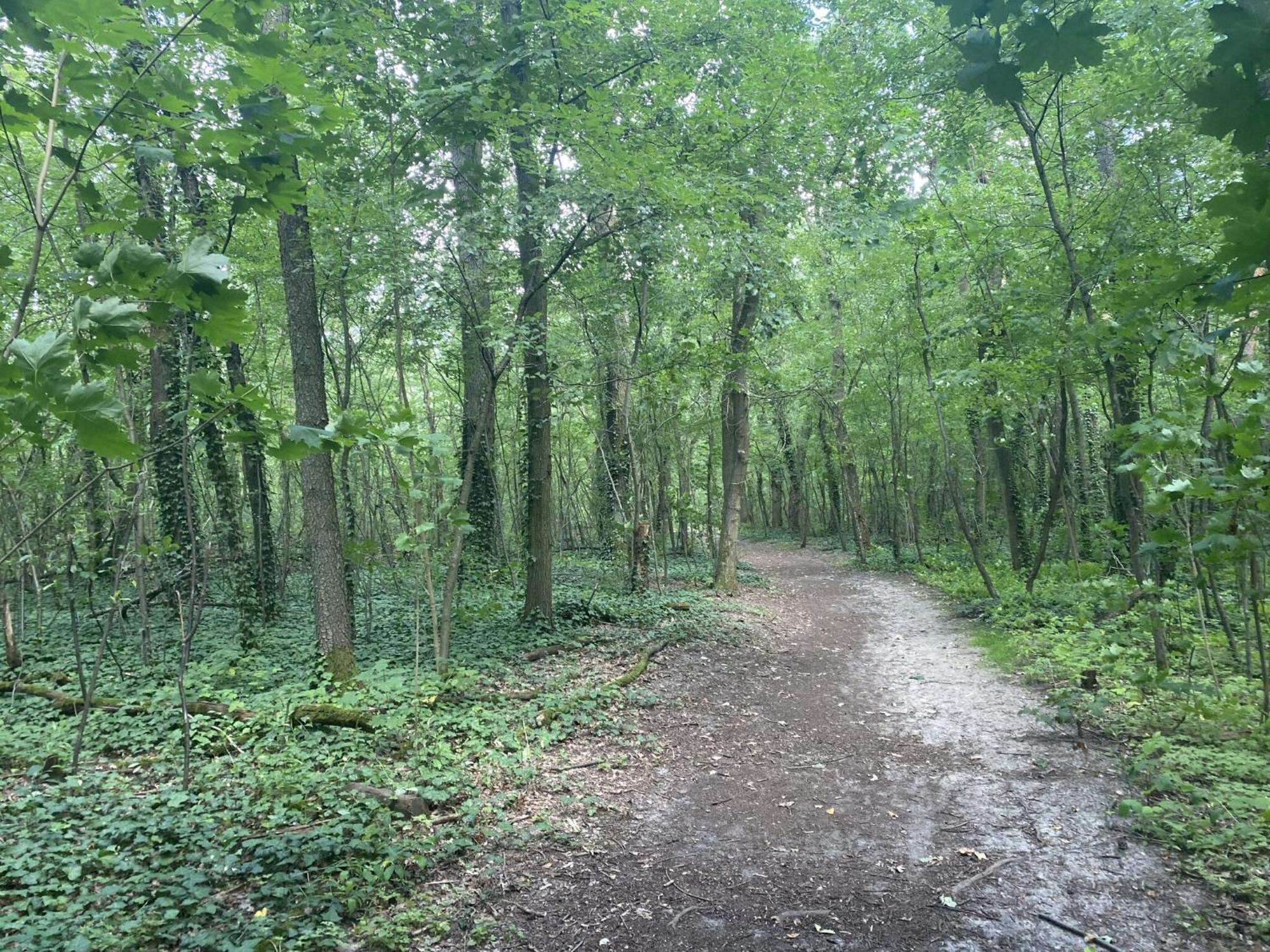 Ferien Am Berliner Mauerweg * Berlijn